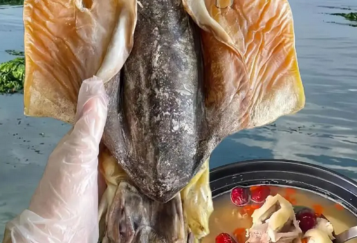 墨鱼炖香菇的营养价值 墨鱼炖香菇的营养价值