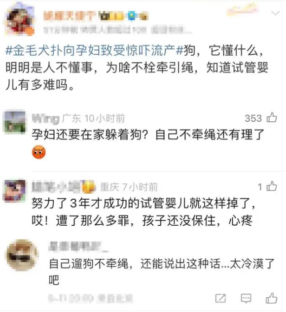 未拴绳金毛犬扑来，41岁孕妇受惊吓流产！犬主：怀试管婴儿就该多在家休息……