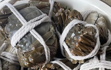 什么是阳澄湖大闸蟹? 什么是阳澄湖大闸蟹?