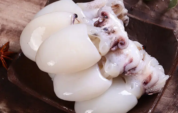 墨鱼好消化吗