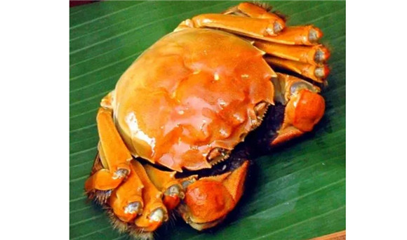 美味鲜美的大闸蟹这一生究竟要蜕多少次壳? 美味鲜美的大闸蟹这一生究竟要蜕多少次壳?