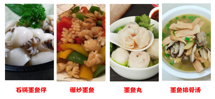 卡通乌贼怎么画 卡通乌贼怎么画