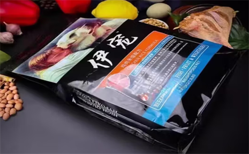 伊宠
