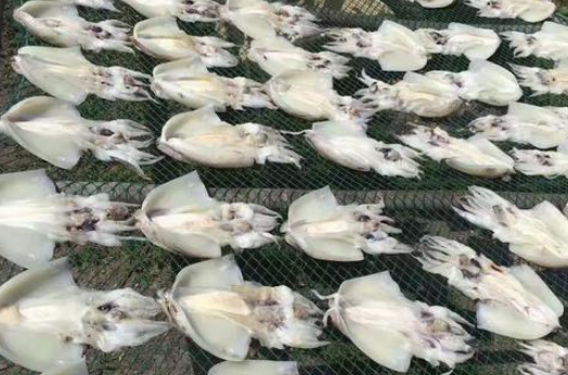 吃墨鱼干有什么好处 吃墨鱼干有什么好处