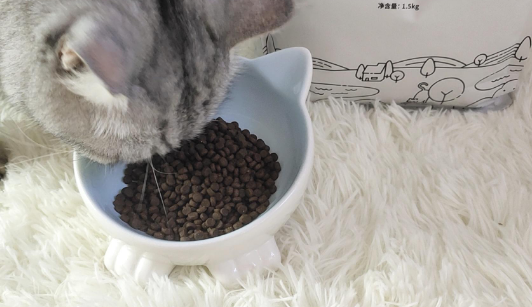 妙斯顿猫粮好吃吗 妙斯顿猫粮好吃吗
