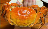 美味人间六月黄,你吃了吗?