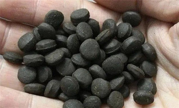 石斑鱼料哪个厂家好 石斑鱼料哪个厂家好