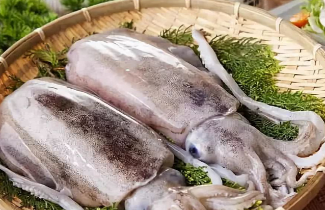 墨鱼有什么作用与功效 墨鱼有什么作用与功效
