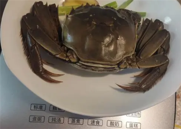 电饭煲冷水蒸螃蟹要多久