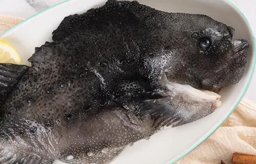 冰岛石斑鱼多少钱一斤 冰岛石斑鱼多少钱一斤