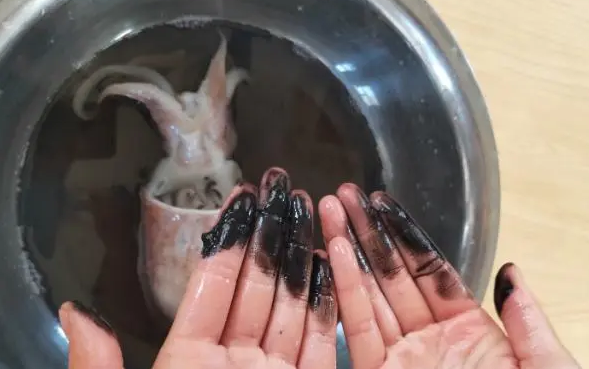 墨鱼汁有什么功效 墨鱼汁有什么功效