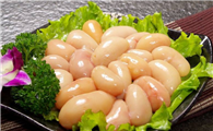 什么是鸡春子