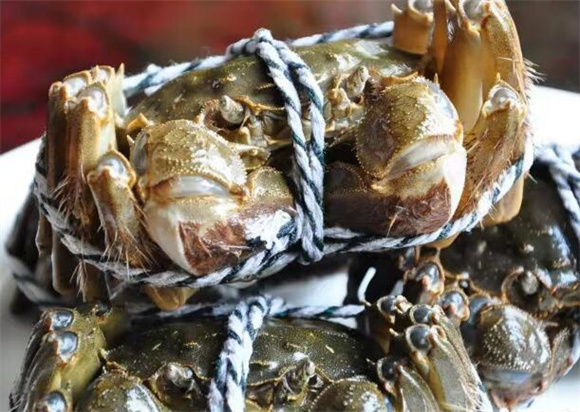 给螃蟹吃什么食物