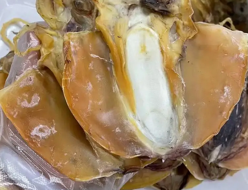 怀孕可以吃墨鱼干吗 怀孕可以吃墨鱼干吗