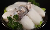 墨鱼是什么类的动物