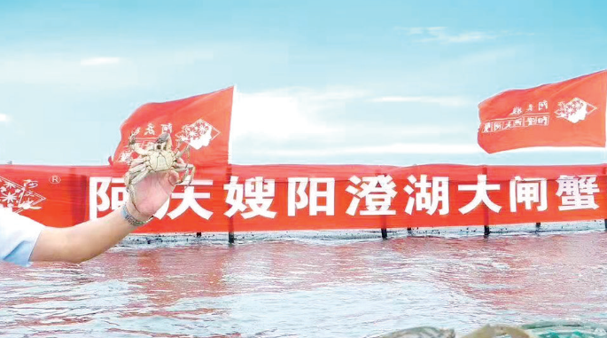 阿庆嫂大闸蟹是阳澄湖的嘛 阿庆嫂大闸蟹是阳澄湖的嘛