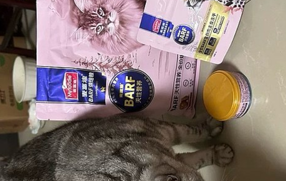 狗粮怎么选？不妨来选麦富迪狗粮