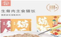贪吃的毛毛猫饭是什么时候成立的