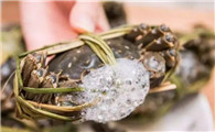 大闸蟹是不是海里的