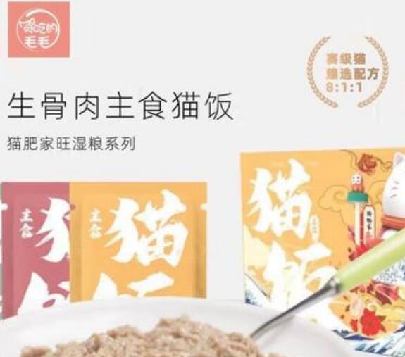 贪吃的毛毛猫饭是什么时候成立的