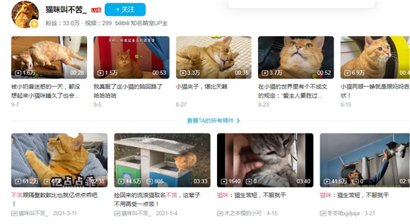 猫咪叫不苦正主的小视频