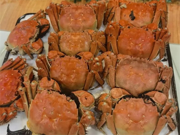 蟹都汇大闸蟹怎么蒸