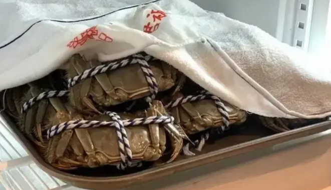 储存螃蟹的最佳方法