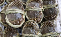 河蟹要怎么做