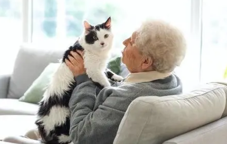 空巢老人养猫好不好