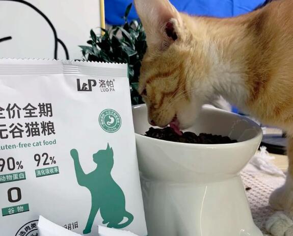 洛帕猫粮好还是冠能猫粮好