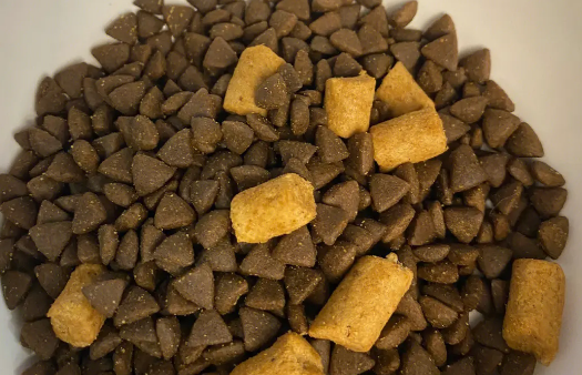 动物先生猫粮是国产的吗 动物先生猫粮是国产的吗