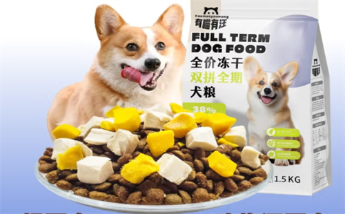 有喵有汪