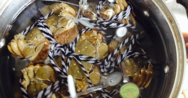 大闸蟹怎么蒸煮