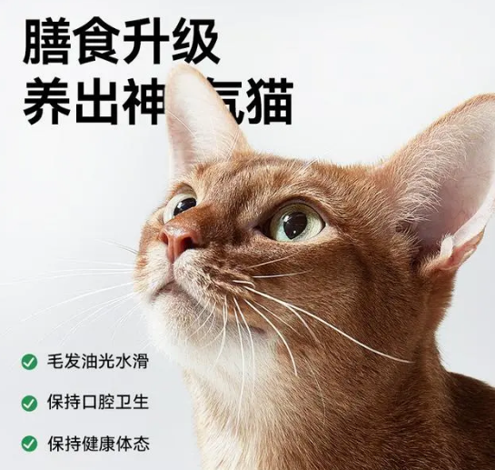 帕特生命全价猫粮，一款备受好评的猫粮