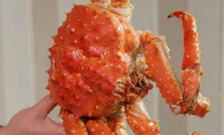 帝黄蟹多少钱一斤