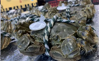 黄河口大闸蟹蒸多长时间