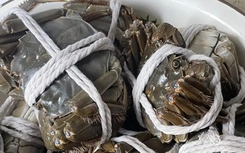 大闸蟹蟹苗价格