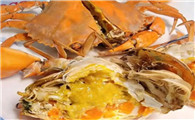 膏油蟹多少钱一斤