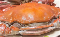 怀孕能吃蟹肉吗