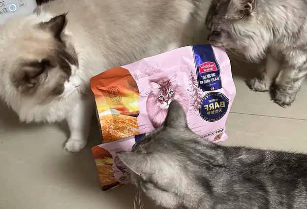 猫粮怎么选,速来看看麦富迪霸弗猫粮~ 猫粮怎么选,速来看看麦富迪霸弗猫粮~