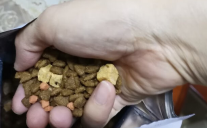 汪晓喵有哪些产品？速戳了解！