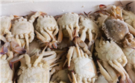 河蟹能冷冻吗?冷冻后能吃吗?