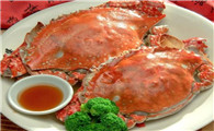 红膏蟹是青蟹吗