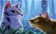 测一测你的猫武士名字
