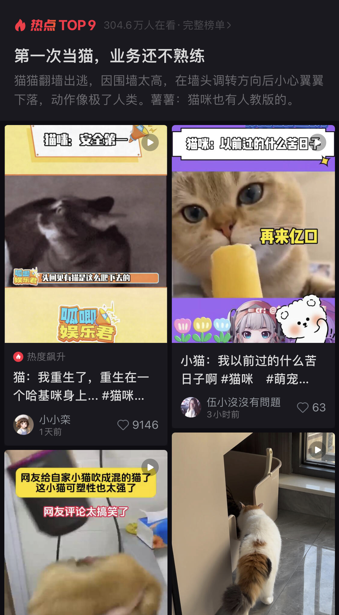 猫咪翻墙遇挑战，墙头调转尽显“人版”智慧