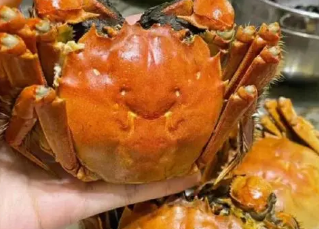 美味人间六月黄,你吃了吗? 美味人间六月黄,你吃了吗?