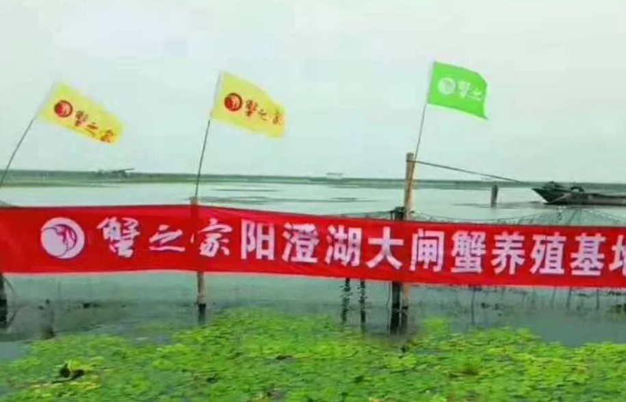 蟹之家大闸蟹的介绍,速来了解! 蟹之家大闸蟹的介绍,速来了解!