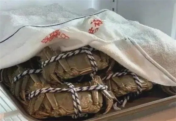 大闸蟹储存方法冷藏 大闸蟹储存方法冷藏