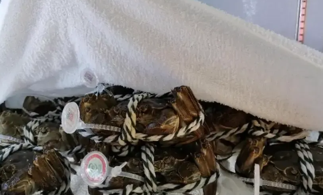 海蟹怎样保存时间长一些