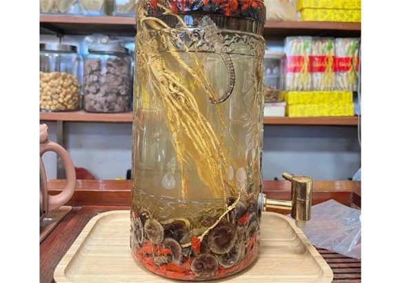 鹿茸和海马泡酒的功效与作用 鹿茸和海马泡酒的功效与作用